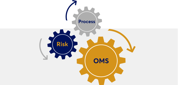 oms-process